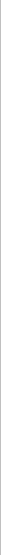 Vertical Border_Thin2